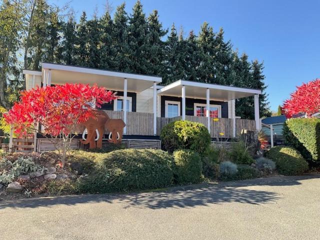 Gladenbach Zu Jeddelohs Bungalows & Apartments -Adult Friendly מראה חיצוני תמונה